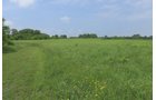 Lake County, Indiana farmland - LAND AUCTION - 147+/- ACRES OFFERED IN 3 TRACTS IN LAKE COUNTY, INDIANA